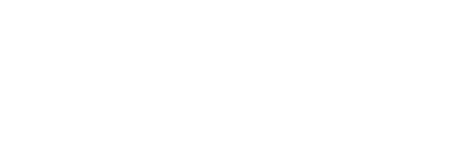 Wolsey Technology